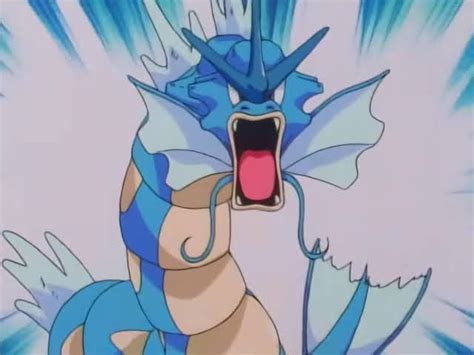 James's Gyarados .